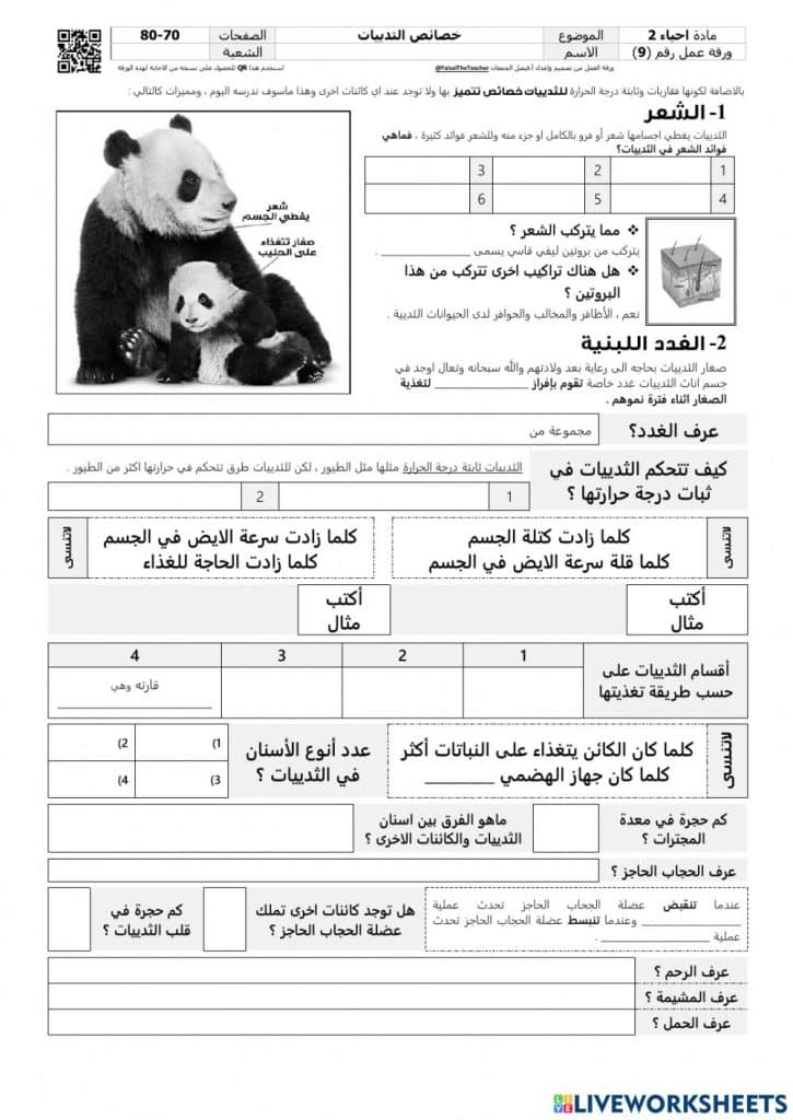 ورقة عمل الثدييات 4