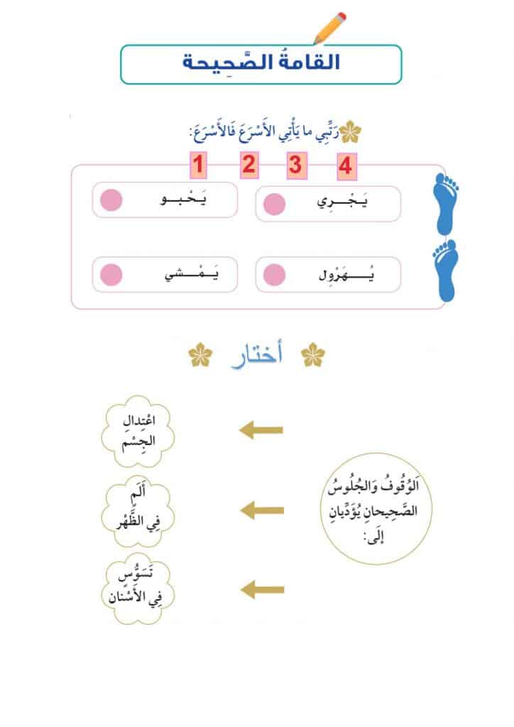 ورقة عمل القامة الصحيحة 2