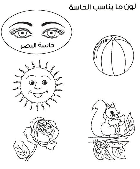 ورقة عمل الحواس الخمس 3