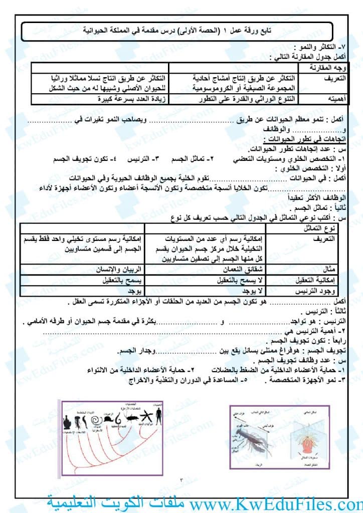 نموذج ورقة عمل خصائص مملكة الحيوانات