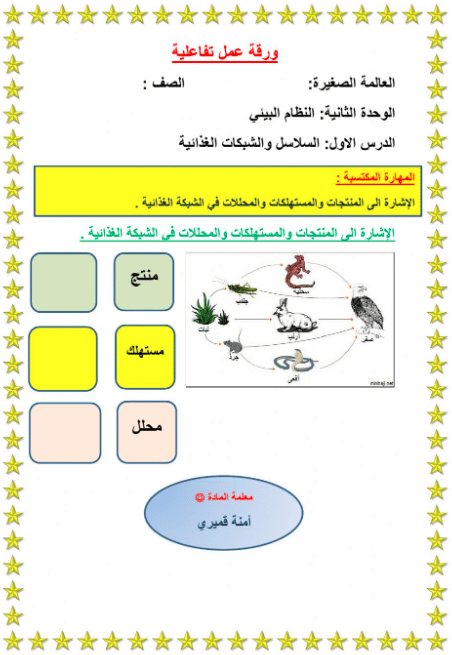 ورقة عمل السلسلة الغذائية