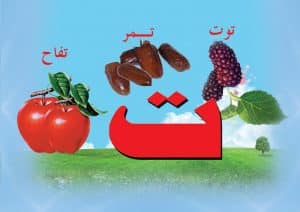 ورقة عمل حرف التاء