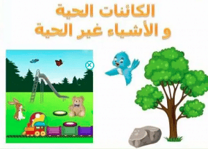 ورقة عمل الكائنات الحية والغير حية