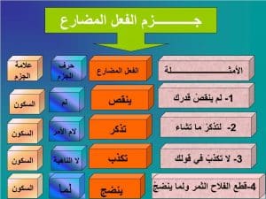 ورقة عمل الفعل المضارع المجزوم