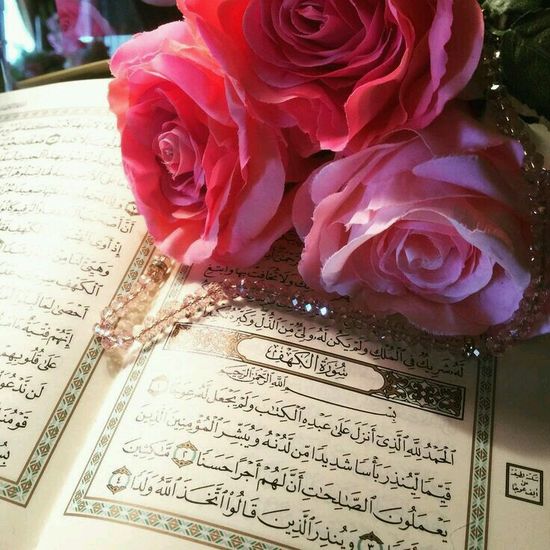 رمزيـات عن القرآن الكريم 5