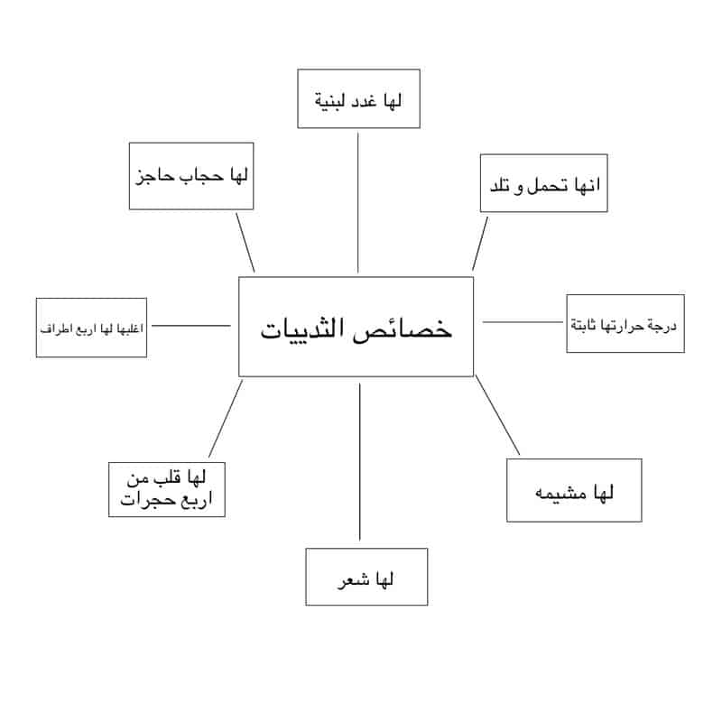 ورقة عمل خصائص الثدييات