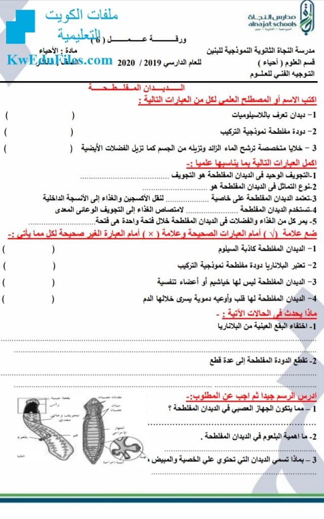 ورقة عمل الديدان المفلطحة
