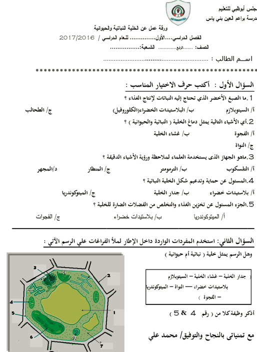 ورقة عمل الخلية النباتية والحيوانية 1