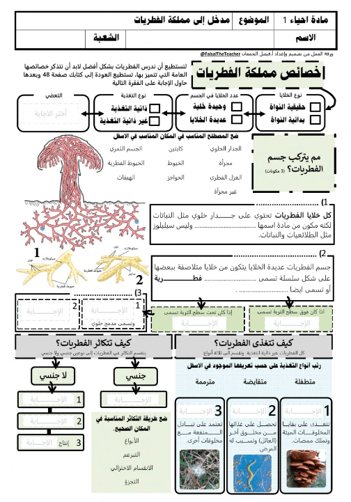 ورقة عمل مدخل إلى الفطريات 1