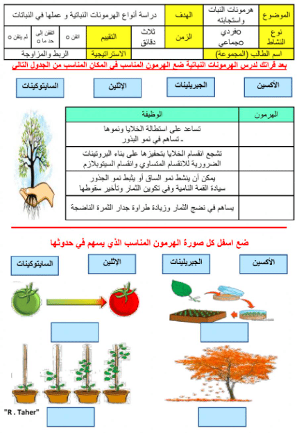 ورقة عمل هرمونات النبات 1