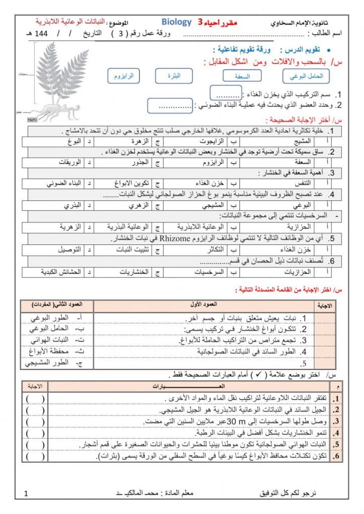 ورقة عمل النباتات اللاوعائية 1