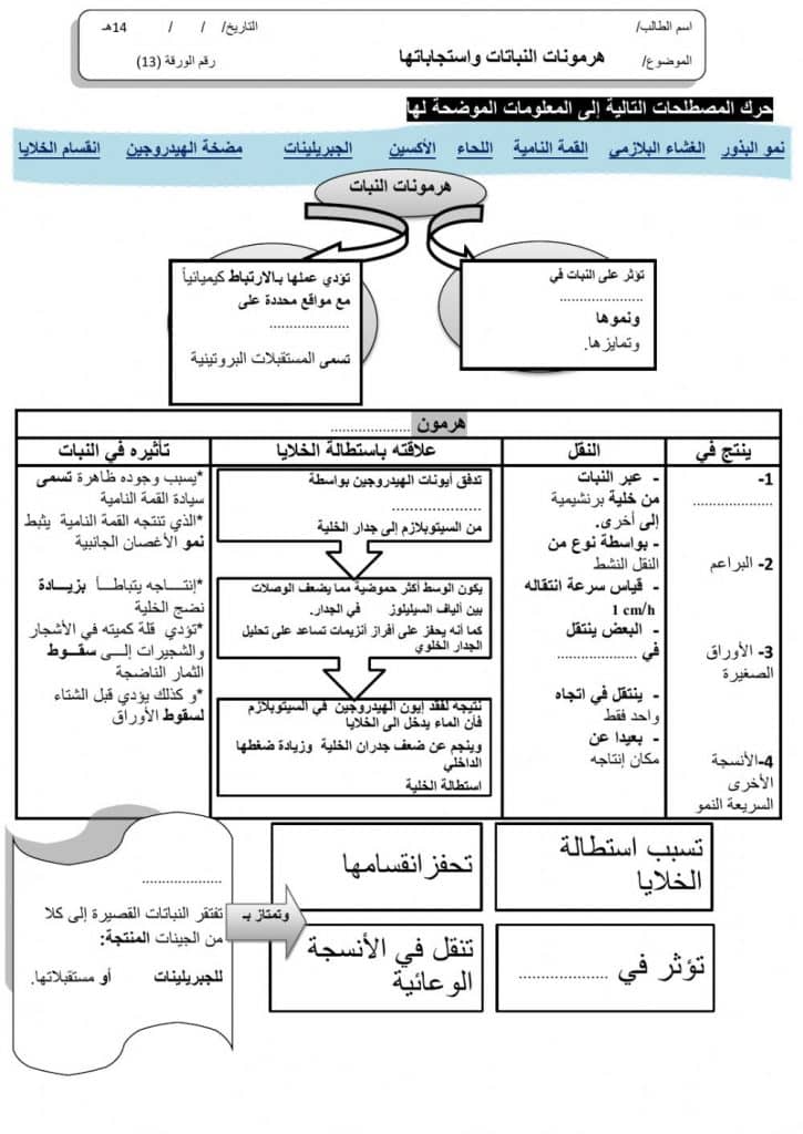 ورقة عمل هرمونات النبات 2