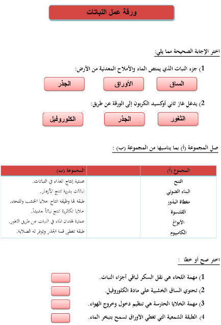 ورقة عمل تفاعلية حلول 2
