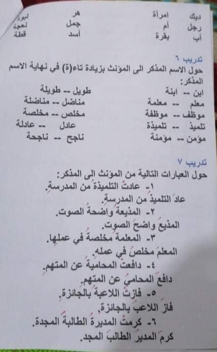 تمارين المذكر والمؤنث للصف الرابع 2