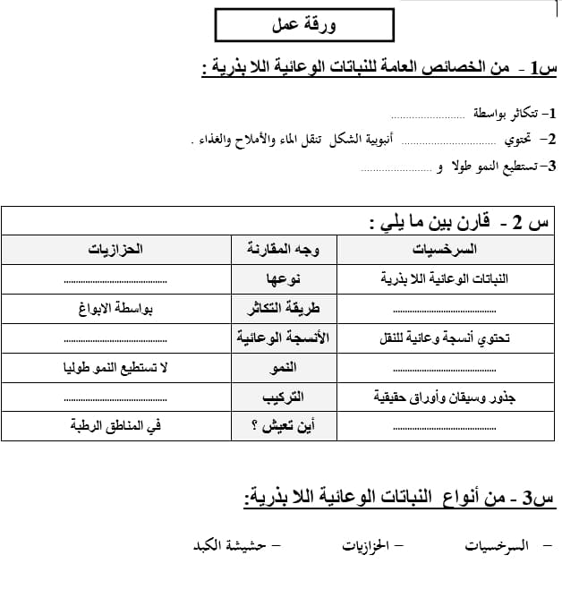 ورقة عمل النباتات الوعائية اللابذرية 1