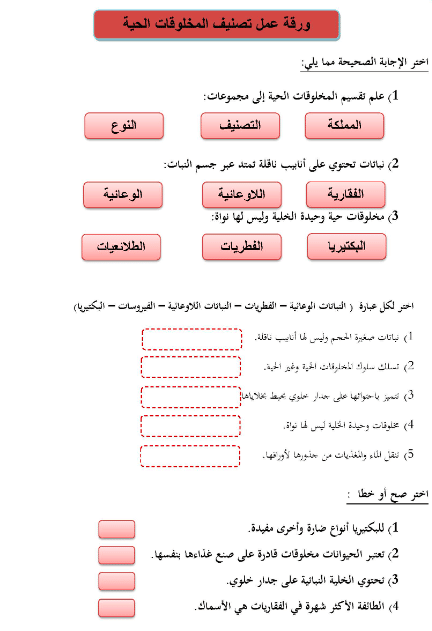 ورقة عمل تفاعلية حلول 4