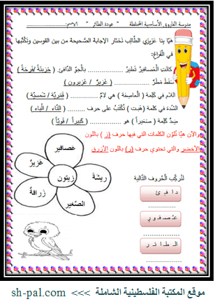 اسئلة على درس عودة الطائر