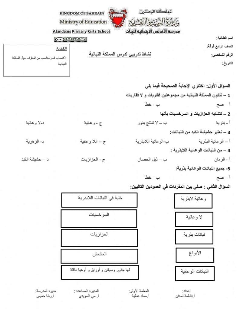 ورقة عمل النباتات الوعائية اللابذرية 2