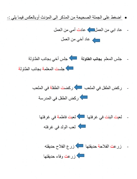 ورقــة عمل المذكر والمؤنث 4