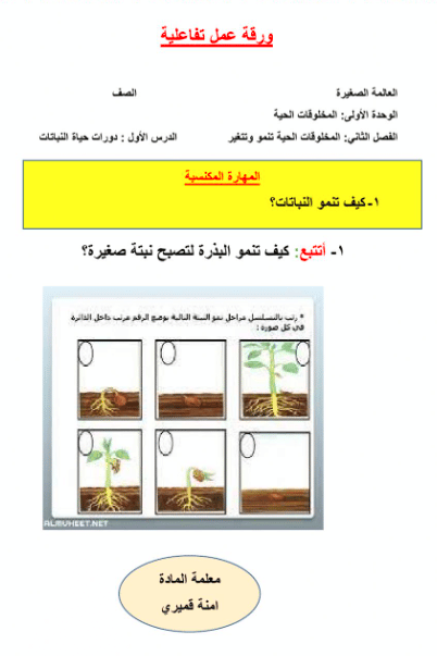 ورقة عمل النباتات الزهرية 4