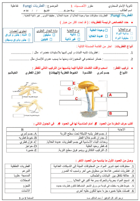ورقة عمل مدخل إلى الفطريات 2