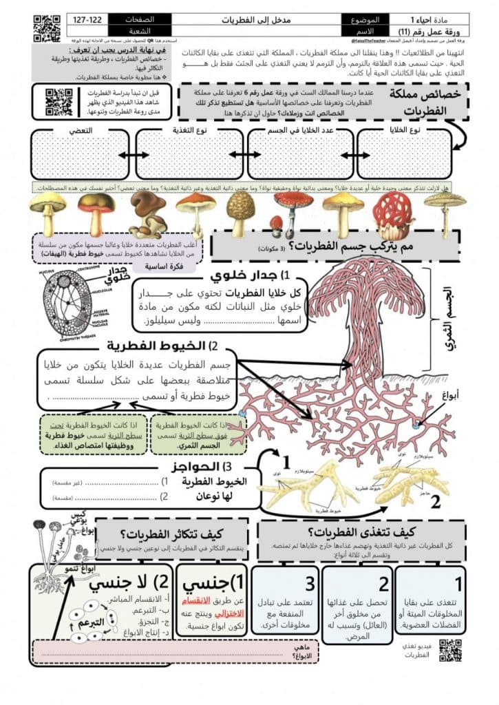 ورقة عمل مدخل إلى الفطريات 3