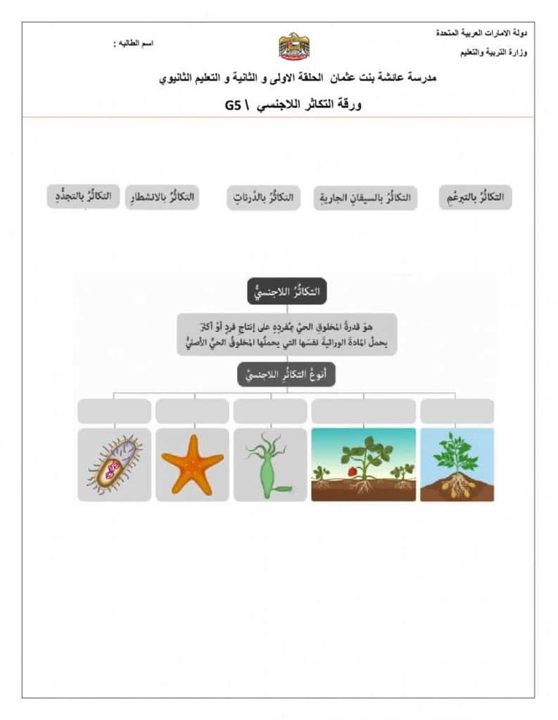 ورقة عمل مراجعة التكاثر في النباتات 1