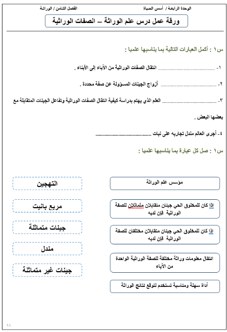 اوراق عمل مادة الوراثة 1