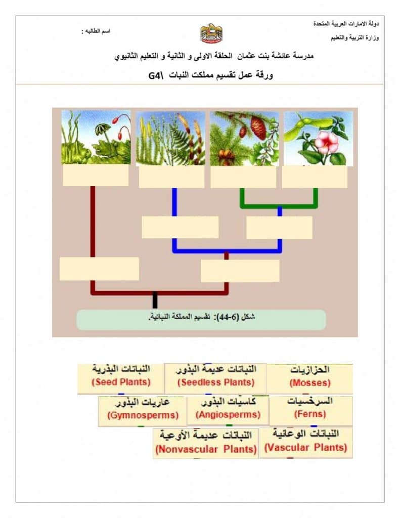 ورقة عمل مقدمة في مملكة النباتات 1