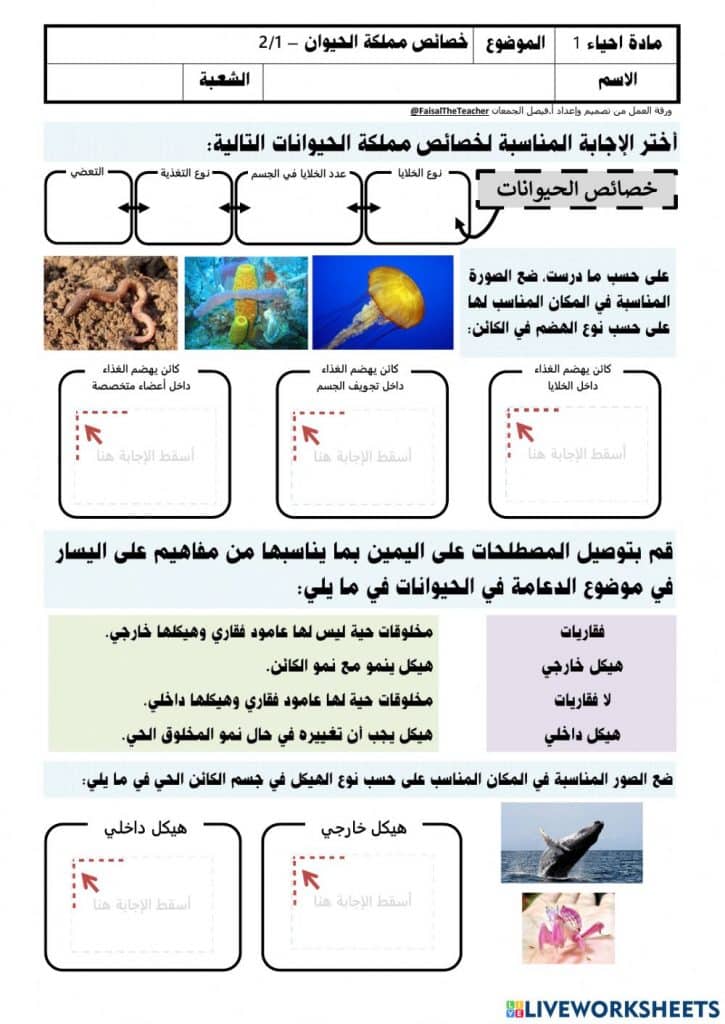 ورقة عمل خصائص الحيوانات 1