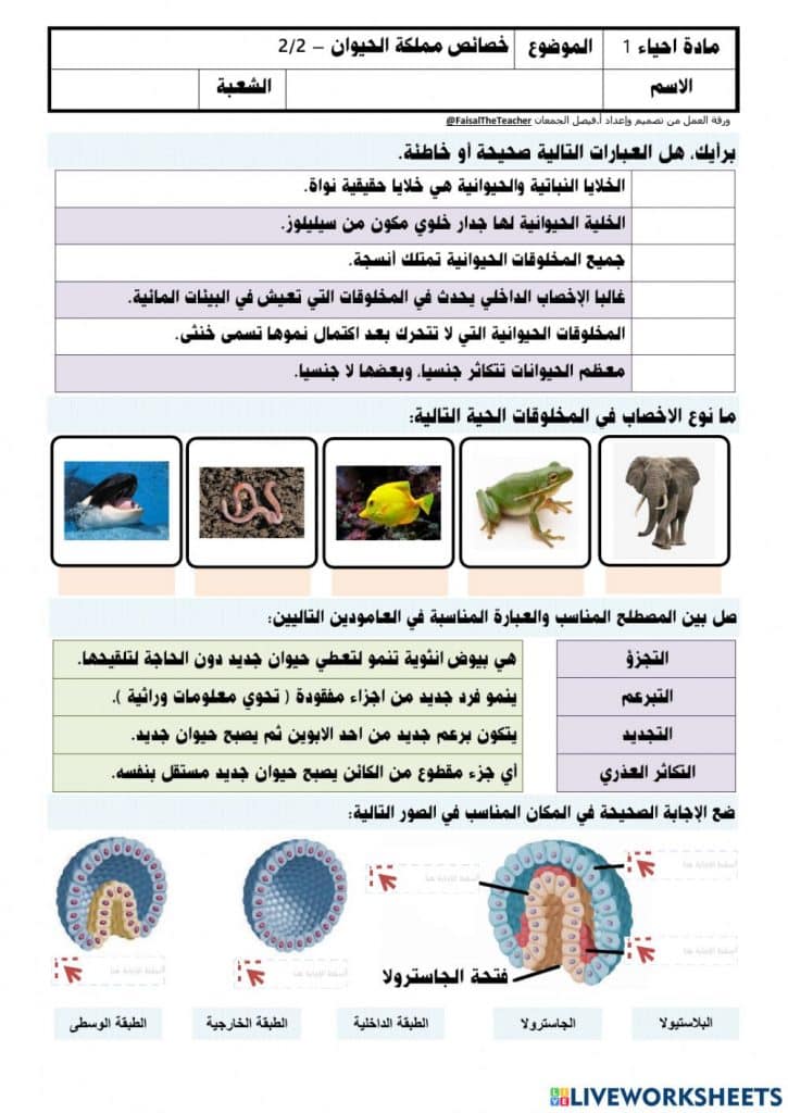 ورقة عمل خصائص الحيوانات 2