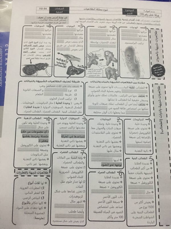 ورقة عمل تنوع مملكة الطلائعيات 1