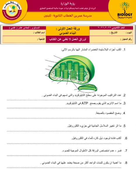 ورقة عمل البناء الضوئي أحياء ٣  2
