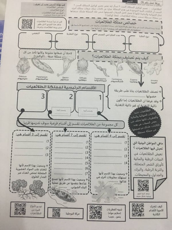 ورقة عمل تنوع مملكة الطلائعيات 2