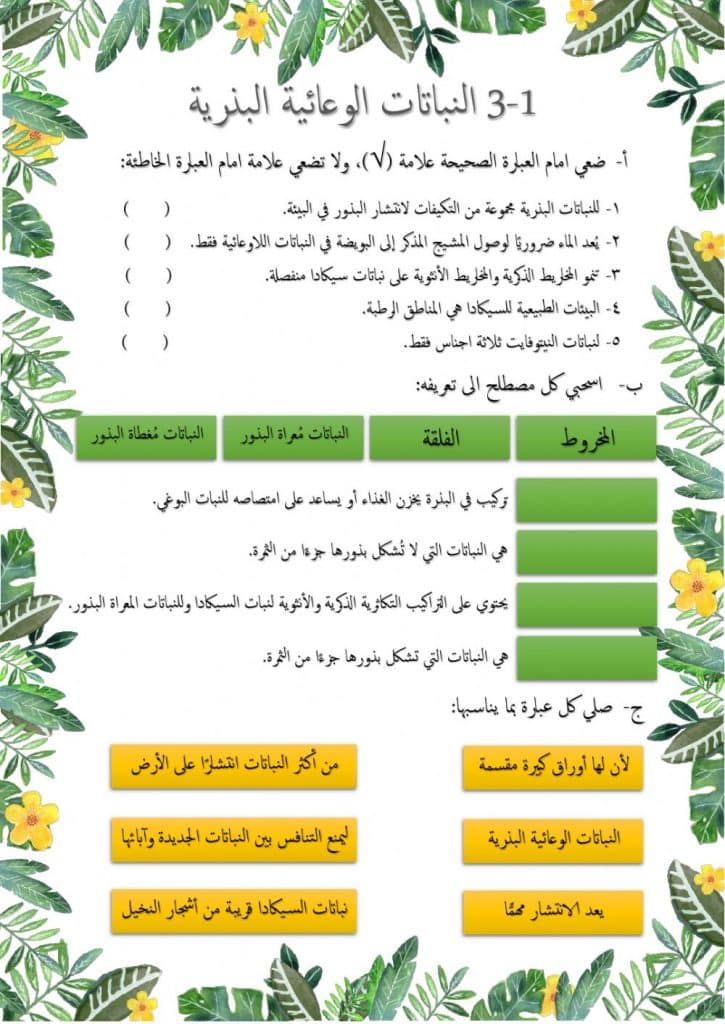 ورقة عمل مقدمة في مملكة النباتات 3