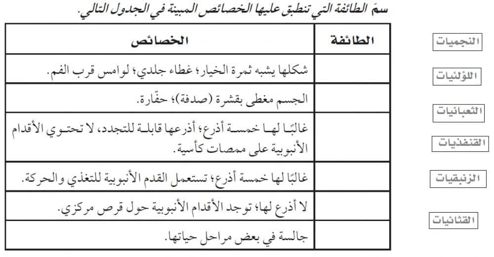 ورقة عمل خصائص شوكيات الجلد   2
