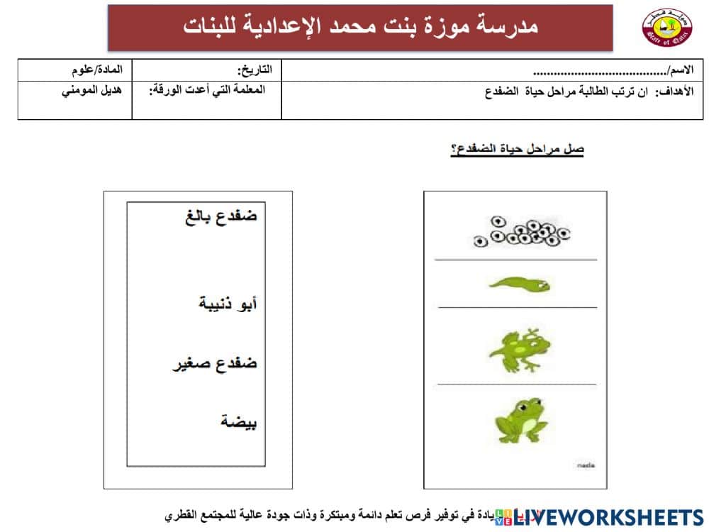 ورقة عمل دورة حياة الضفدع 3