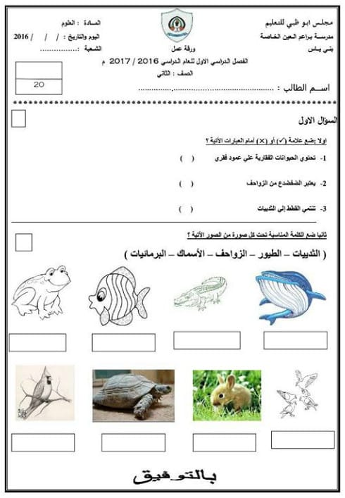 ورقة عمل الطيور 5