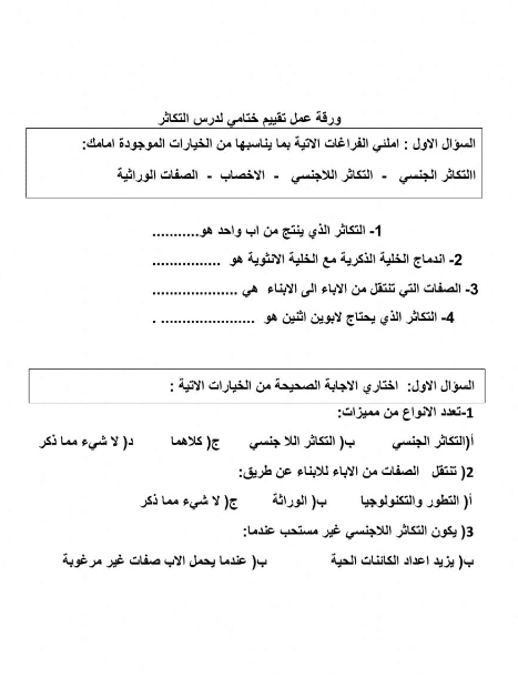 ورقة عمــل التكاثر 4