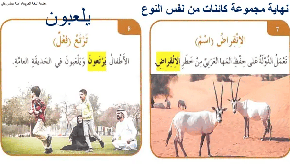 مفردات النمر الأرقط 2