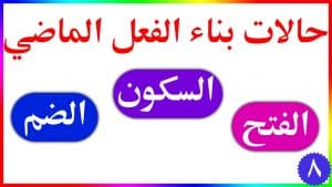 ورقة عمل بناء الفعل الماضي