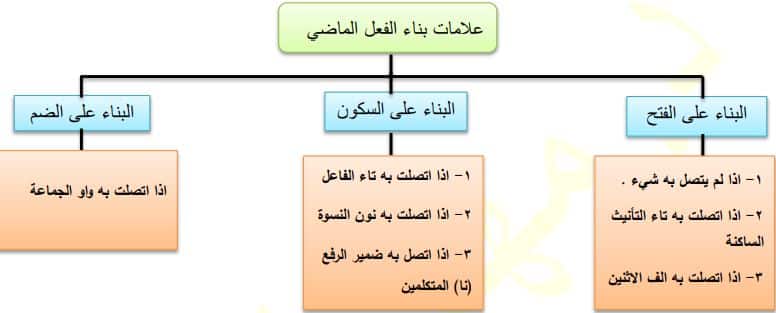 ورقة عمل بناء الفعل الماضي 1
