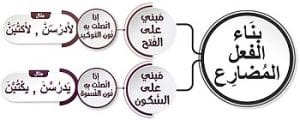 ورقة عمل بناء الفعل المضارع