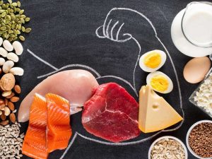 مقدمة وخاتمة عن البروتينات
