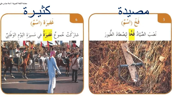مفردات النمر الأرقط 4