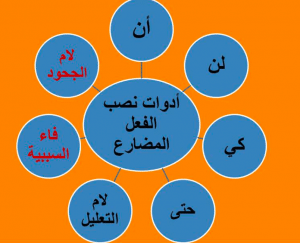 ورقة عمل المضارع المنصوب