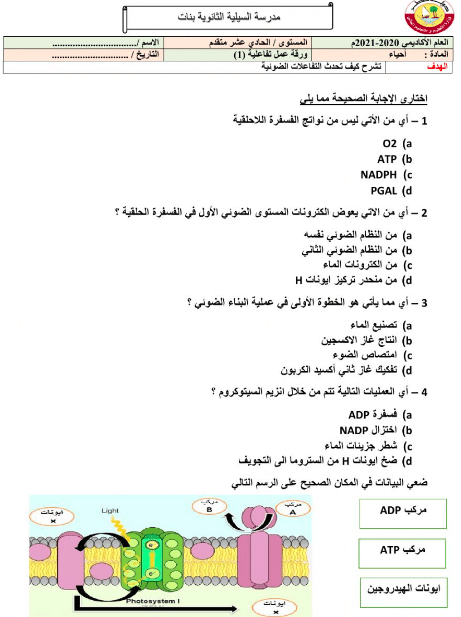 ورقة عمل البناء الضوئي أحياء ٣  4