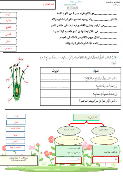 ورقة عمل التكاثر في النباتات 2
