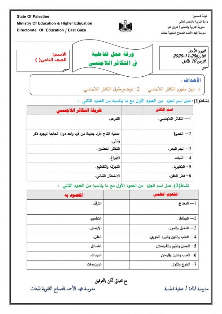 ورقة عمل التكاثر في النباتات 4