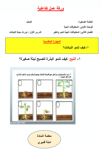 ورقة عمل دورة حياة النبات 1
